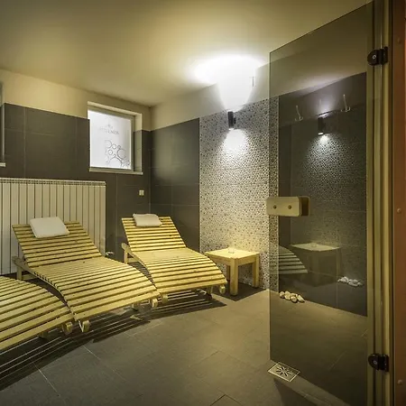 Szeifert Hotel Sovata
