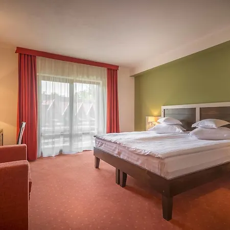 Szeifert Hotel Sovata